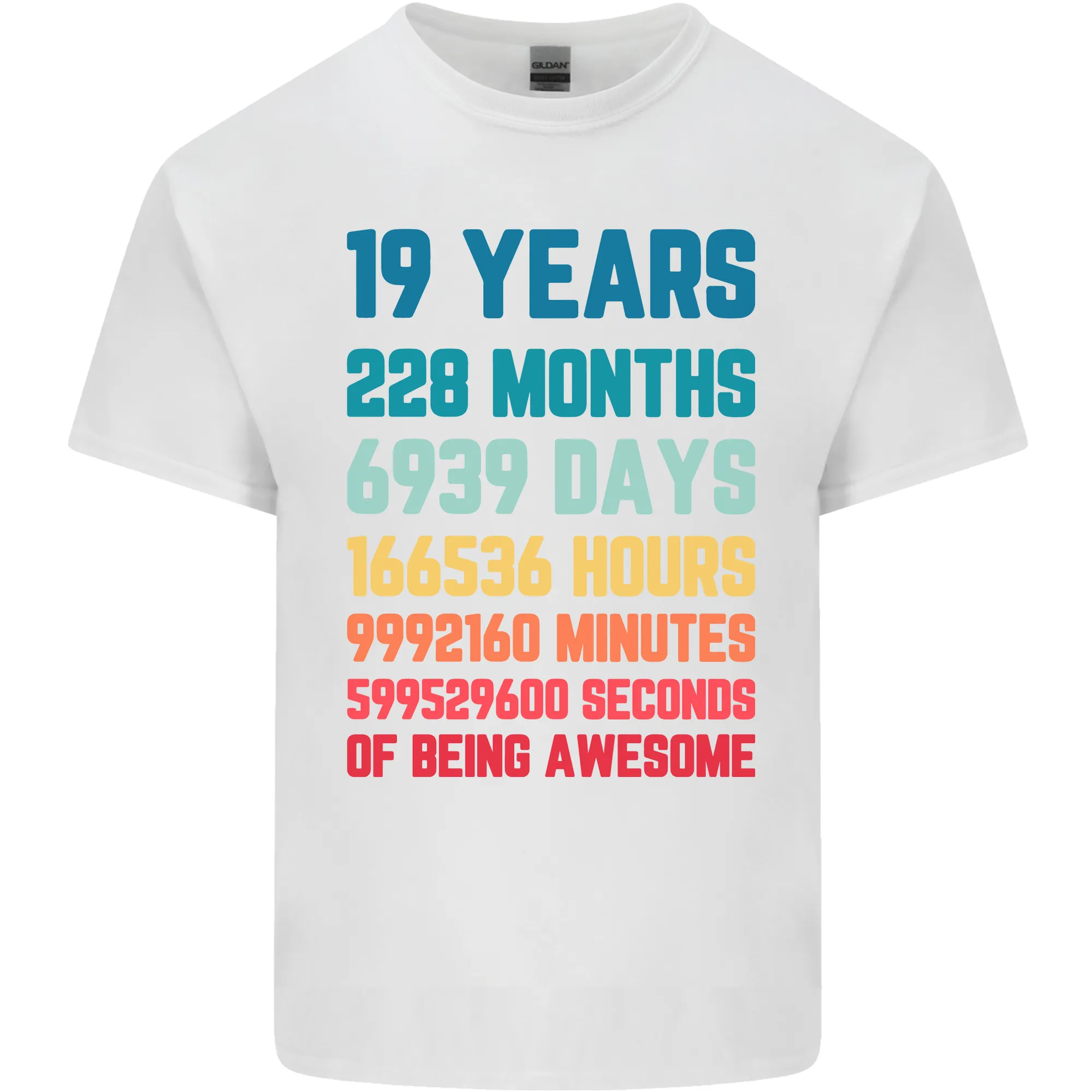 19th Birthday 19 Year Old Mens Light Cotton T-Shirt