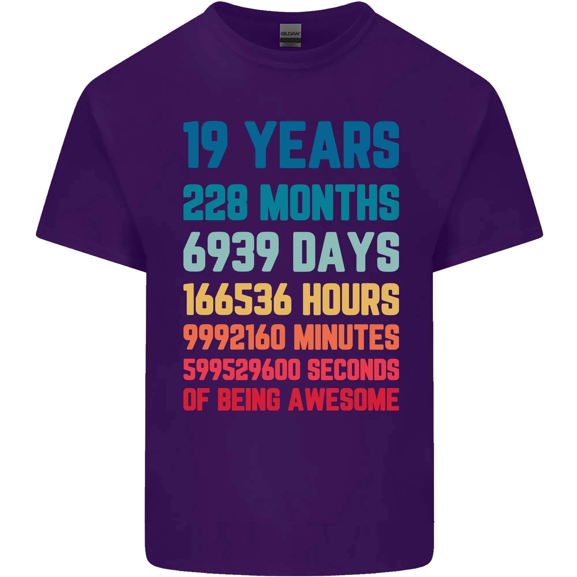 19th Birthday 19 Year Old Mens Light Cotton T-Shirt