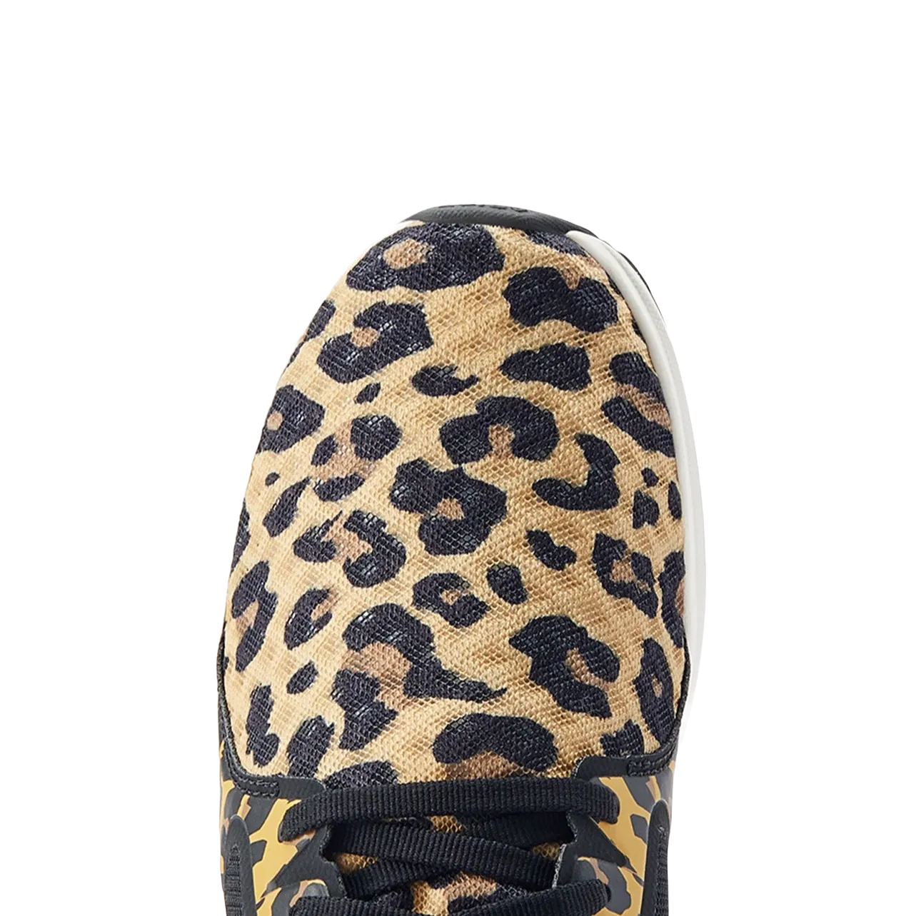 Ariat Ladies Fuse Leopard Print Lace Up Shoes 10044489