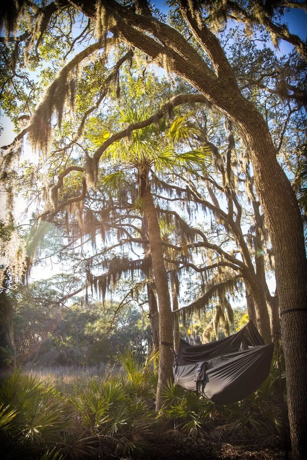 JungleNest Hammock - ENO