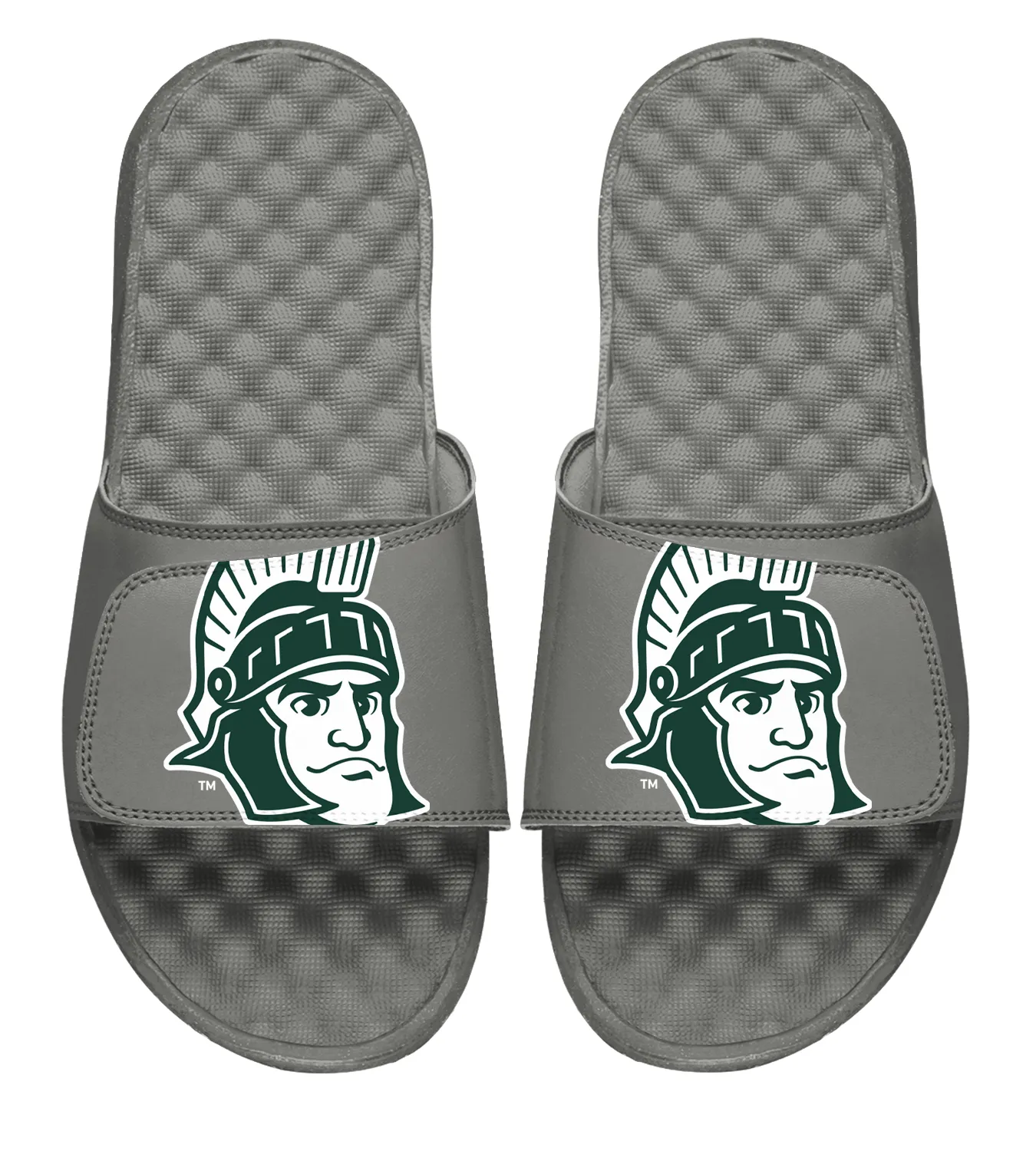 Michigan State Mascot Slides